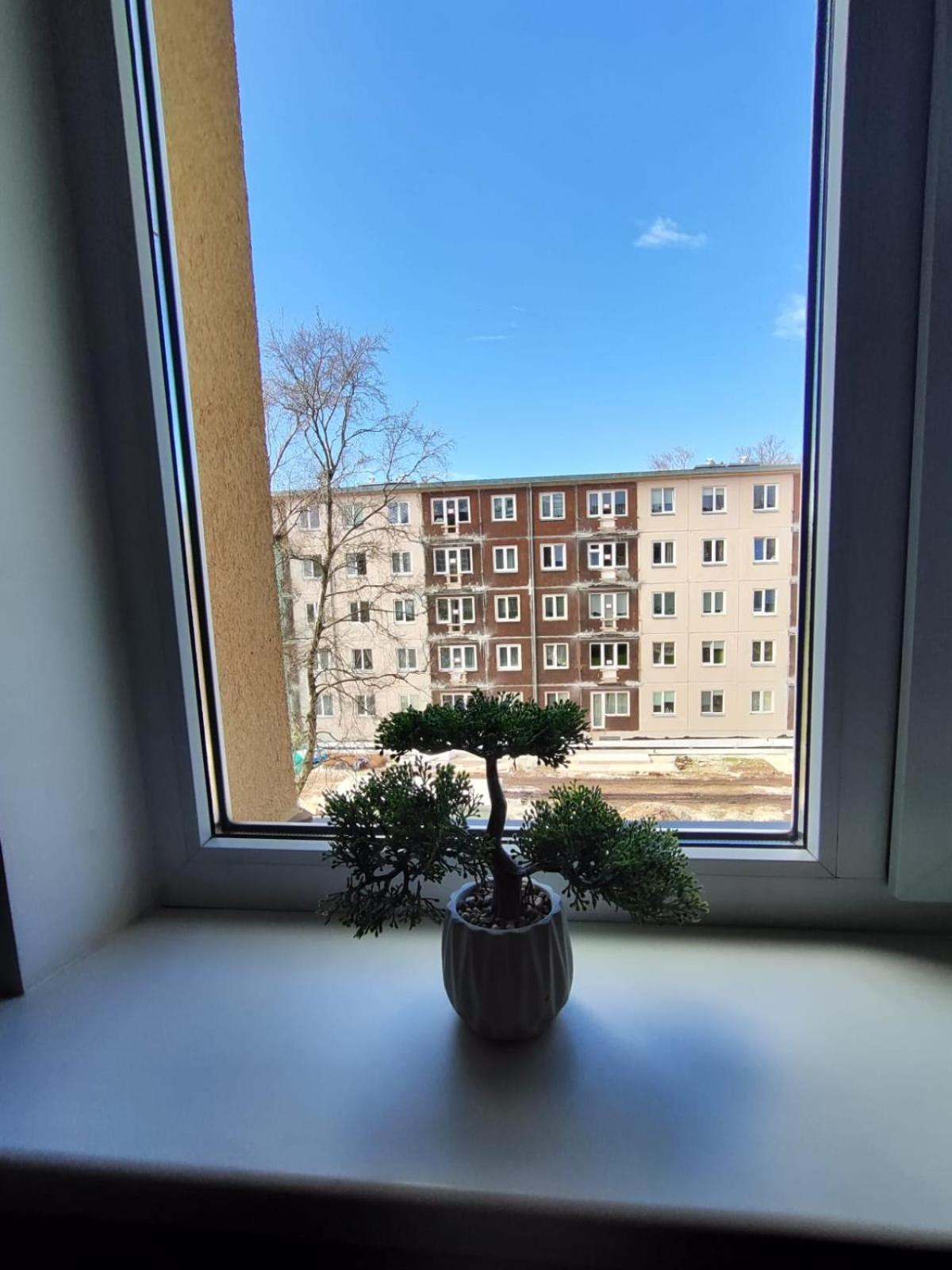 Comfortable Gerbera Apartment Reval
