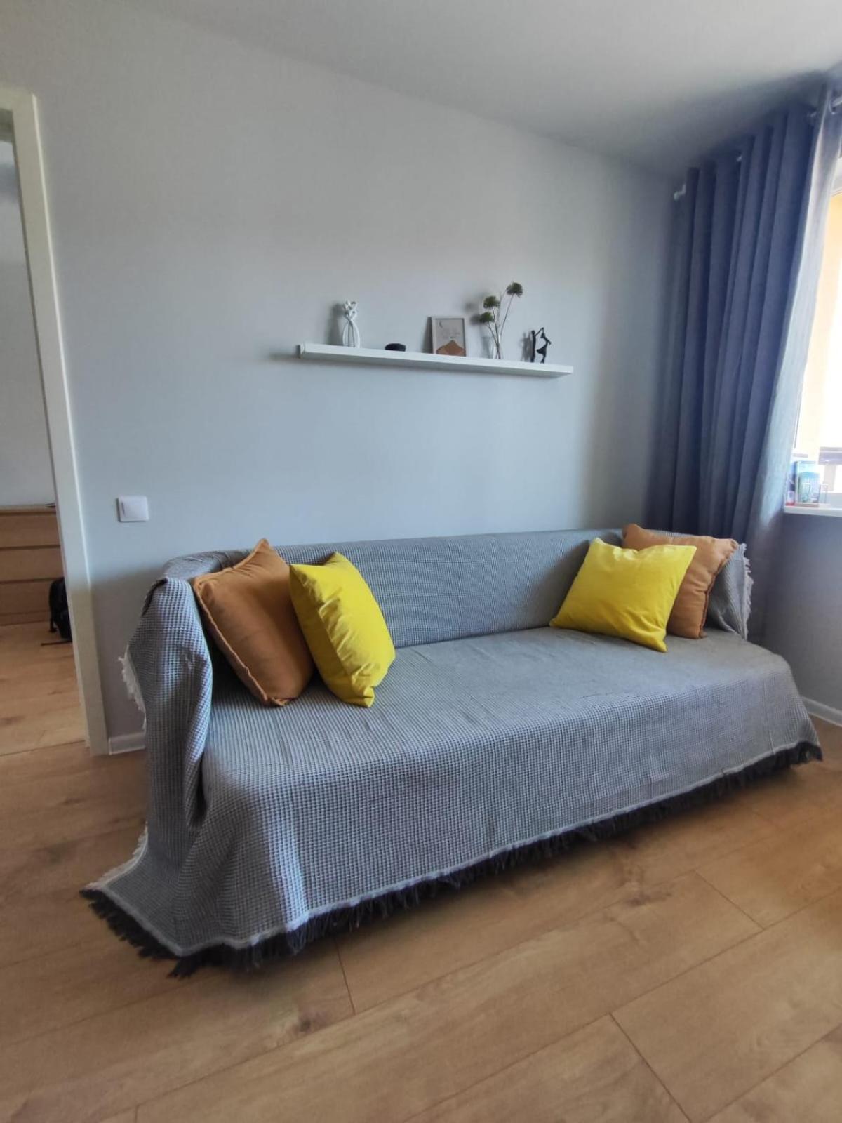 Comfortable Gerbera Tallinna